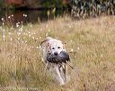 20191013-vetw-0064