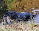 20191013-vetw-0090