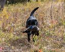 20191013-wcil-0332