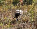 20191013-wcil-0498
