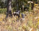 20191013-wcil-0535