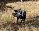 20191013-wciw-0070
