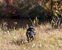 20191013-wciw-0177
