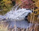 20191013-wciw-0270