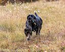 20191013-wciw-0287