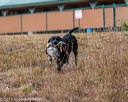 20191013-wciw-0292
