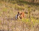 20191013-wcl-0108