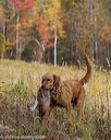 20191013-wcl-0116