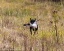 20191013-wcl-0212