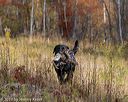 20191013-wcl-0263