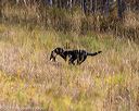 20191013-wcl-0309