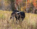 20191013-wcl-0315