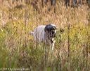 20191013-wcl-0337