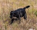 20191013-wcl-0379