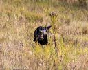 20191013-wcl-0389