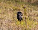 20191013-wcl-0390