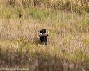 20191013-wcl-1004
