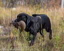 20191013-wcl-1011