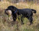 20191013-wcl-1014
