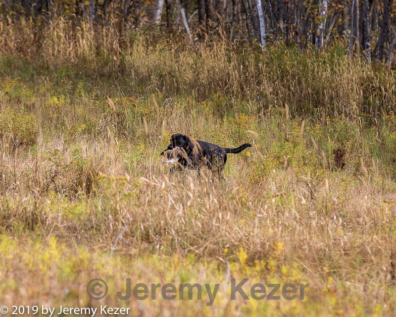 20191013-wcl-0074.jpg