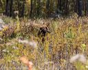 20191013-wcxl-0027