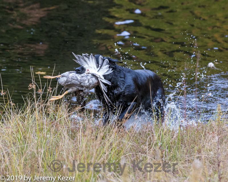 20191013-wcxw-0032.jpg