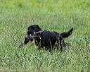 20200808-jhl-0126