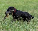 20200808-jhl-0133