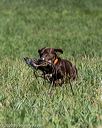 20200808-jhl-0239