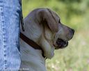 20200808-jhl-0445
