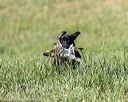 20200808-jhl-0666