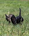 20200808-jhl-0779