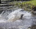 20200808-jhw-0513