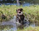 20200808-jhw-0783