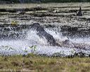 20200808-jhw-0993