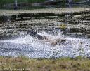 20200808-jhw-0996