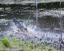 20200808-jhw-1076