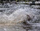 20200808-jhw-1142