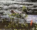 20200808-jhw-1192