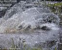 20200808-jhw-1218