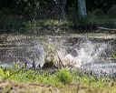20200808-jhw-1298