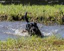 20200808-jhw-1430