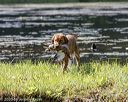 20200808-jhw-1482
