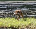 20200808-jhw-1483