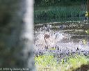 20200808-jhw-1773