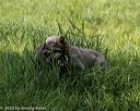20200809-shl-0018