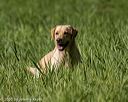 20200809-shl-0035