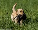 20200809-shl-0053