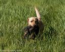20200809-shl-0055