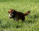 20200809-shl-0071
